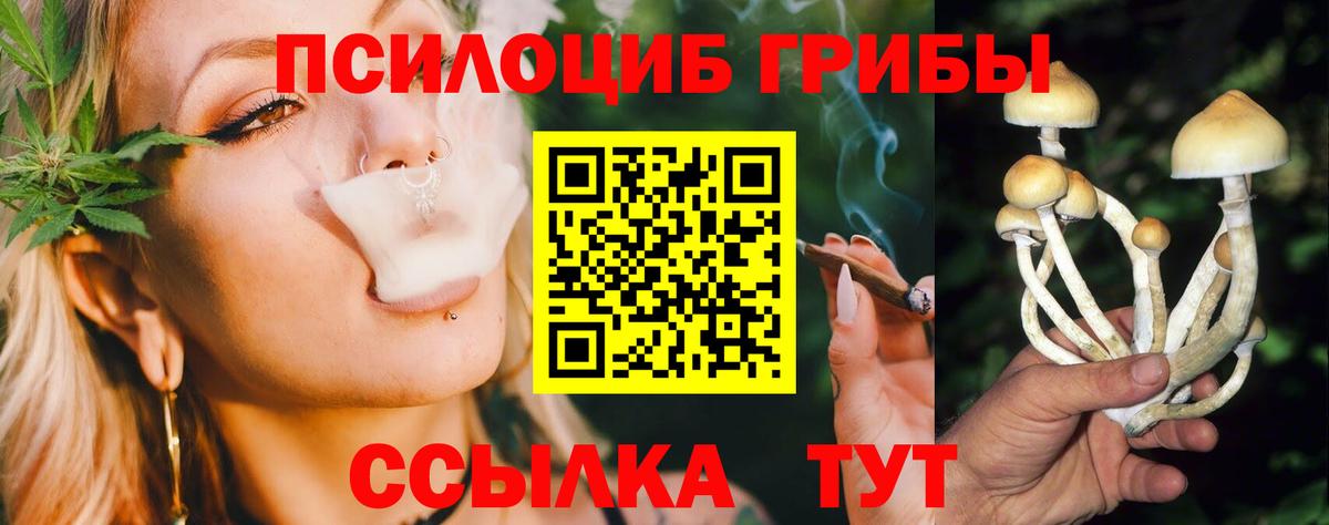 Галлюциногенные грибы GOLDEN TEACHER  Вход с VPN  Джанкой  Псилоцибиновые грибы Psilocybe 